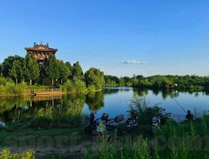 天天炸金花旧版-天天炸金花旧版，经典游戏的怀旧情怀与策略分析